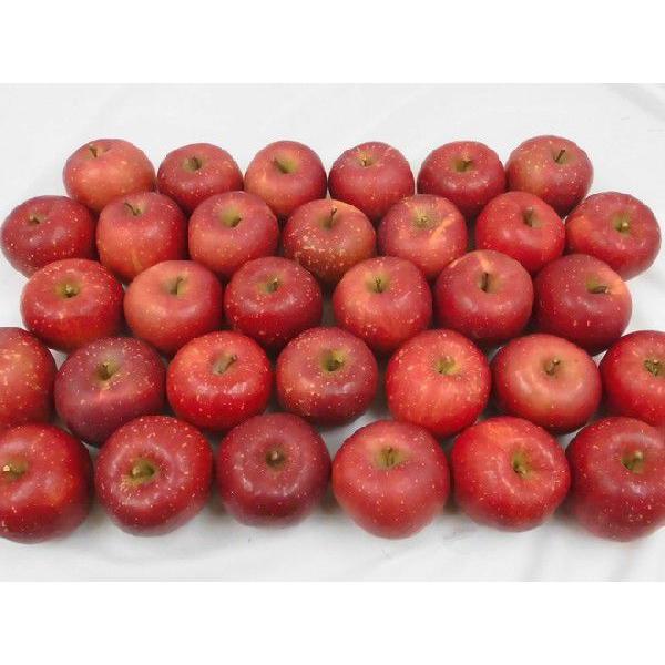 りんご 岩手江刺産 ”蜜入りサンふじ” 秀品 24〜36玉 約10kg【予約 11