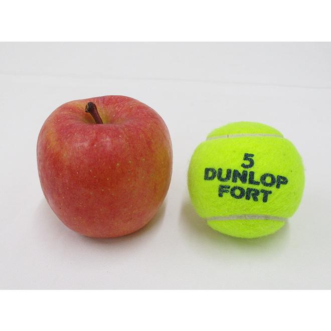 りんご りんご 蜜だらけりんご ”山形産 こうとく（高徳）りんご” 等級幻