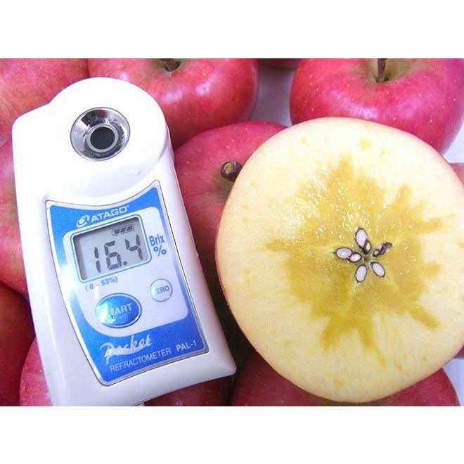 りんご 葉っぱの影は甘さのサイン 【葉とらずりんご つがる2.7kg