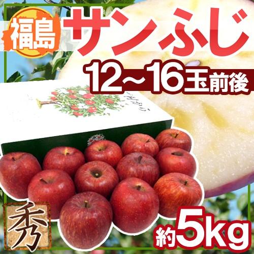 りんご ”福島産 蜜入りサンふじ” 秀品 大玉12〜16玉 約5kg 化粧箱