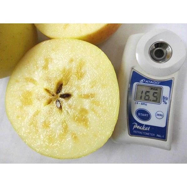 りんご ”ぐんま名月” 秀品 24〜36玉 約10kg 産地厳選 りんご【予約 11