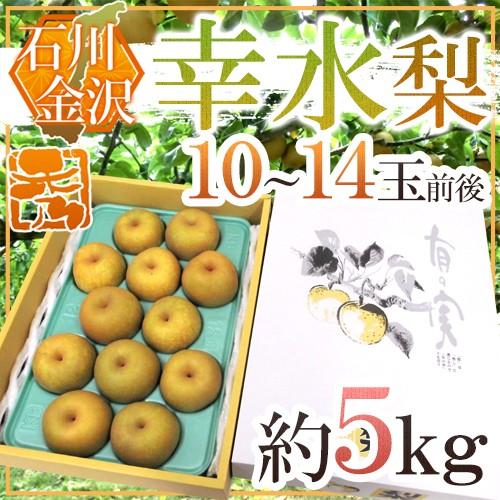 石川県 金沢産 幸水梨” 秀品 10〜14玉前後 約5kg【予約 8月末以降