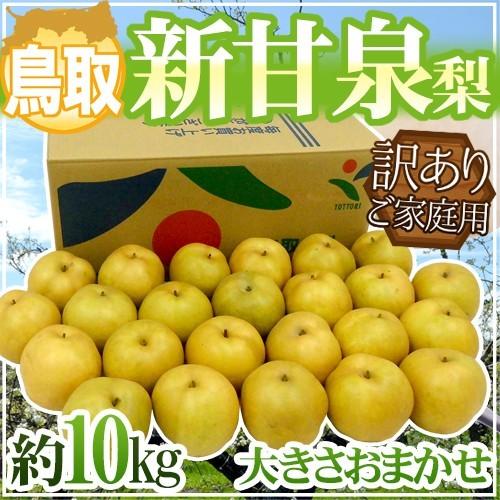 鳥取産 ”新甘泉（しんかんせん）梨” 訳あり 約10kg 大きさおまかせ