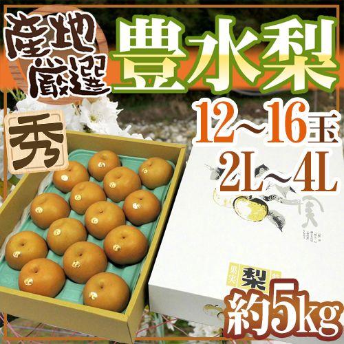 豊水梨” 秀品 2L〜4L 12〜16玉 約5kg 化粧箱 産地厳選【予約 8月中下旬