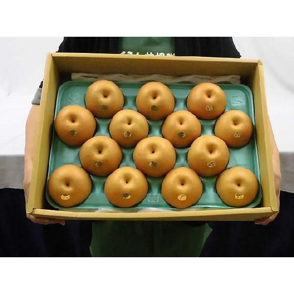 熊本県産豊水梨12〜24玉入り5k2箱 豊水梨” 秀品 2L〜4L 12〜16玉 約5kg 化粧箱 産地厳選【予約 8月中下旬