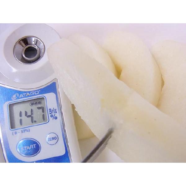 食品 茨城県産 豊水 梨 秀品5キロ 4Lサイズ 12玉入り