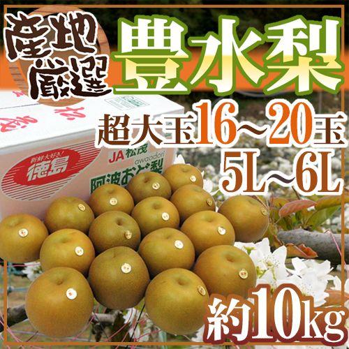 豊水梨” 秀品 超大玉5L〜6L 16〜20玉 約10kg 産地厳選【予約 8月中下旬
