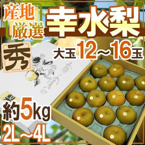 新作多数 幸水梨 秀品 大玉2l 4l 12 16玉 約5kg