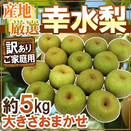 低価格 幸水梨 訳あり 約5kg 大きさおまかせ 産地厳選 予約 8月
