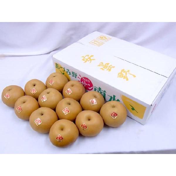 長野安曇野 ”サン南水梨” 秀品 大玉10〜16玉 約5kg【予約 10月以降