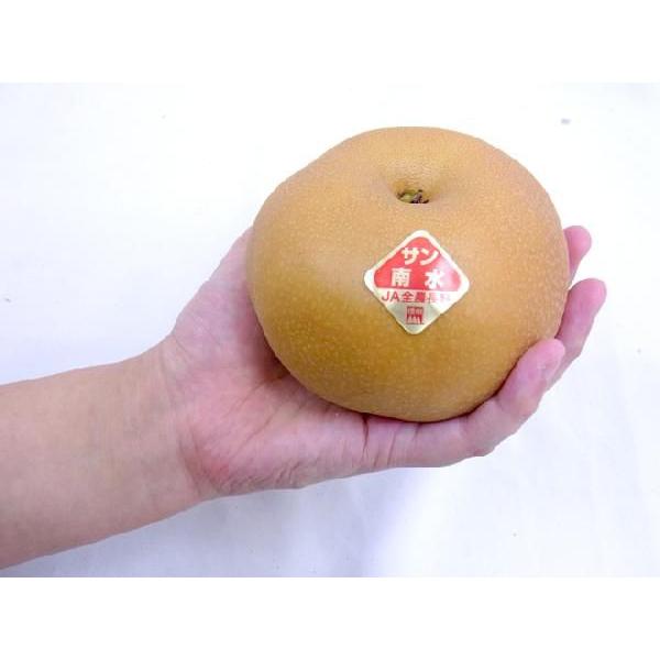 長野安曇野 ”サン南水梨” 秀品 大玉10〜16玉 約5kg【予約 10月以降