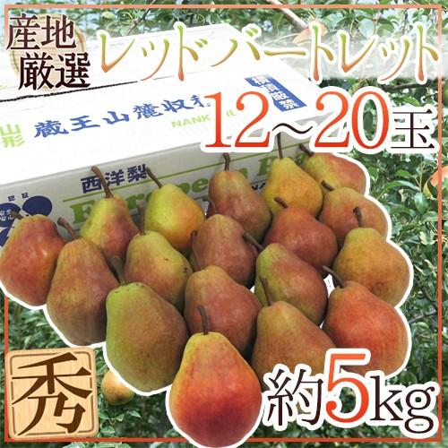 山形産 ”レッドバートレット” 秀品 12〜20玉前後 約5kg 洋梨【予約 9月