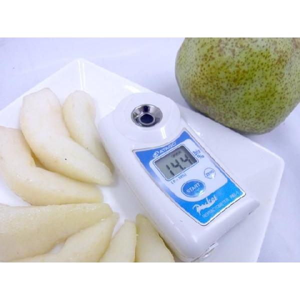 山形産 ”ラフランス” 訳あり 約3kg 大きさおまかせ ラ・フランス 洋梨【予約 11月以降】 送料無料|kurashi-kaientai|02