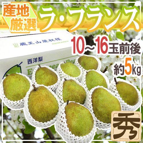 &rdquo;ラ・フランス&rdquo; 秀品 10〜16玉前後 約5kg 産地厳選 洋梨 ラフランス【予約 10月以降】 送料無料