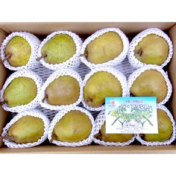 &rdquo;ラ・フランス&rdquo; 秀品 10〜16玉前後 約5kg 産地厳選 洋梨 ラフランス【予約 10月以降】 送料無料