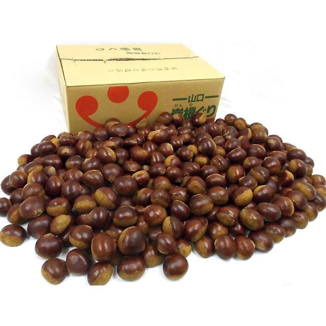 国産和栗” 秀品 超大粒3Lサイズ以上 約10kg 産地厳選 生栗【予約