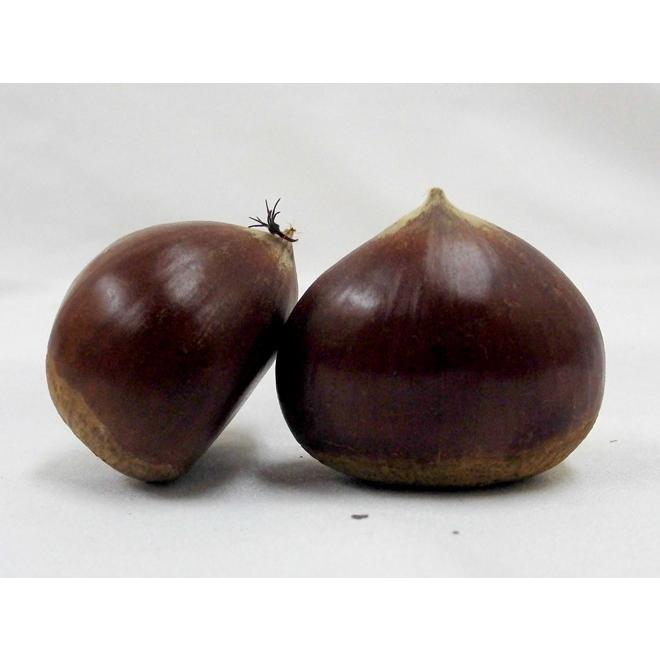 国産和栗” 秀品 超大粒3Lサイズ以上 約10kg 産地厳選 生栗【予約