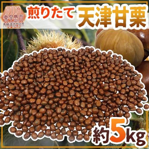 天津甘栗 約5kg 安値 約500g 10pc こだわり産地限定 採れたて新栗 予約 焼きたて 炒りたてを詰めました 送料無料 10月中旬以降