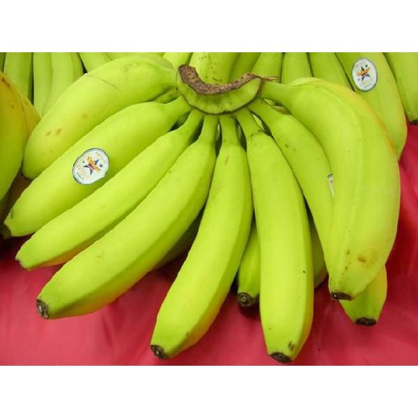 フィリピン産 ”バナナ” 5〜6房入り 約13kg｜kurashi-kaientai｜03