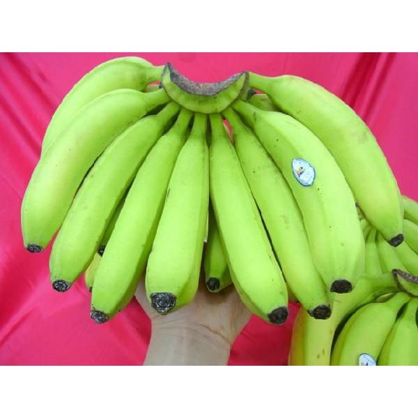 フィリピン産 ”バナナ” 5〜6房入り 約13kg｜kurashi-kaientai｜04
