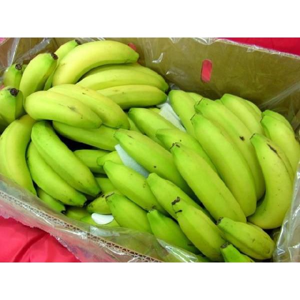 フィリピン産 ”バナナ” 5〜6房入り 約13kg :2028-banana-13kg-5-6:くらし快援隊 - 通販 - Yahoo!ショッピング