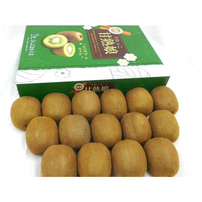 福岡県 八女産 ”甘熟娘（うれっこ）キウイ” 秀品 15玉 約1.8kg前後