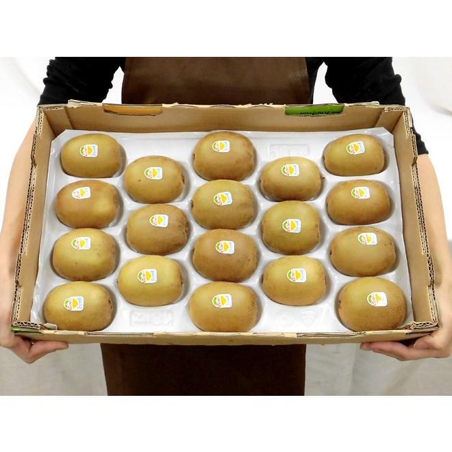 ゼスプリ ”サンゴールドキウイ” 超大玉 18玉 約3kg【予約 4月下旬以降