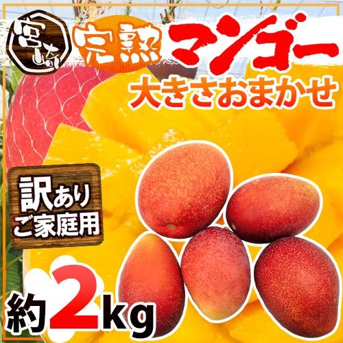 宮崎マンゴー” 訳あり 4〜8玉前後 約2kg【予約 5月下旬〜6月以降