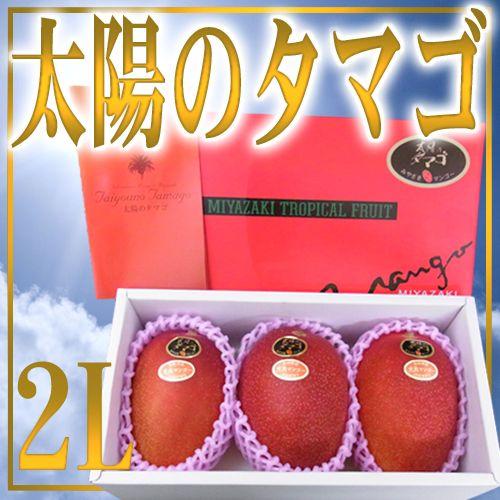 お届け日指定可能】宮崎マンゴー ”太陽のタマゴ” 2Lサイズ 3玉 化粧箱