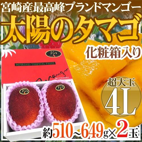 お届け日指定可能】宮崎マンゴー ”太陽のタマゴ” 4Lサイズ 2玉 化粧箱