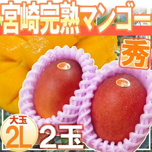宮崎マンゴー” 秀品 大玉 2Lサイズ 2玉【予約 5月下旬以降】 : くらし