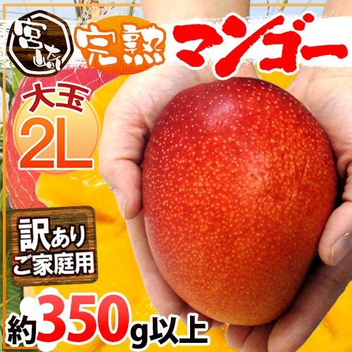 宮崎完熟マンゴー” 訳あり 1玉約350g以上 大玉2Lサイズ《4玉以上ご購入