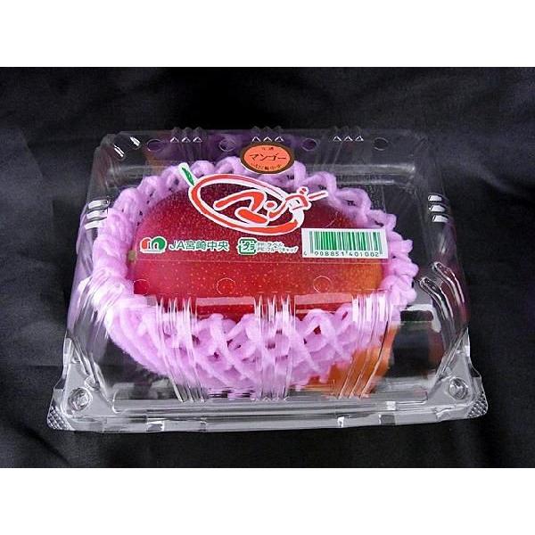 専用出品　yaeyama様　完熟3Lサイズ　4kg 宮崎完熟マンゴー” 秀品 3L〜4Lサイズ《3玉購入で送料無料》宮崎