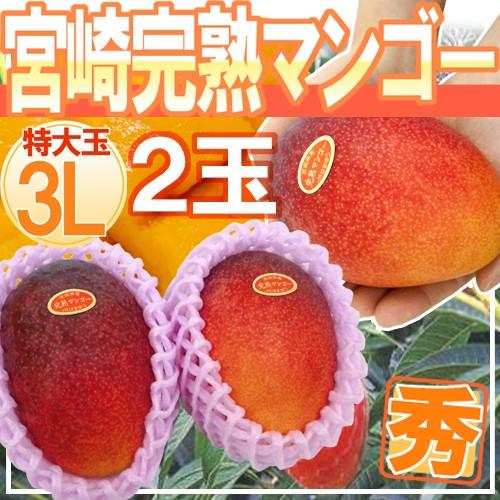宮崎 完熟 マンゴー 12玉 約 3k〜 宮崎 完熟 マンゴー 12玉 約3k ※家庭