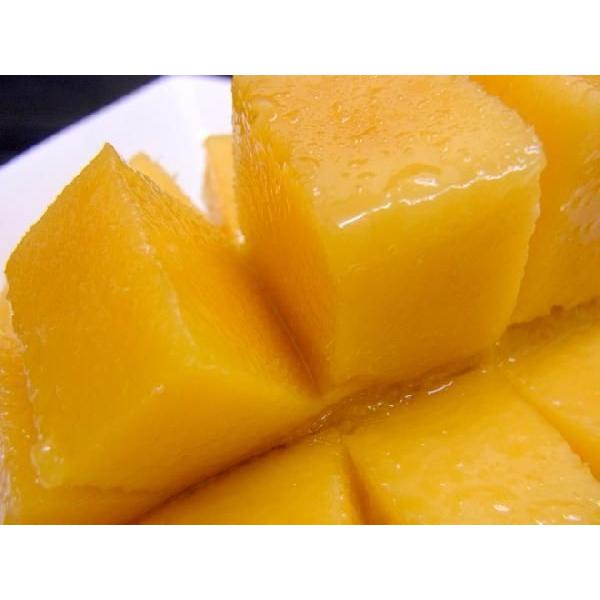 宮崎完熟マンゴー” 秀品 4Lサイズ 510g以上 パック入り 宮崎マンゴー