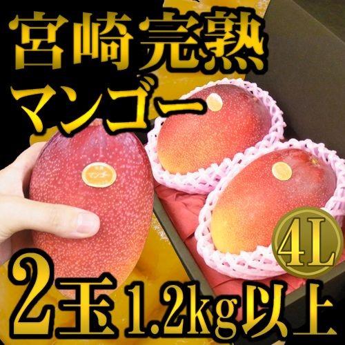 ”宮崎完熟マンゴー” 秀品 4Lサイズ 2玉 1.2kg以上 化粧箱入り 宮崎マンゴー【予約 4月以降】 送料無料