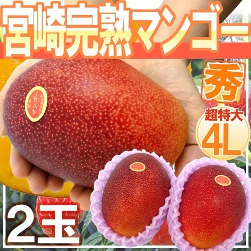宮崎マンゴー” 秀品 超特大玉 4Lサイズ 2玉 宮崎完熟マンゴー【予約 5