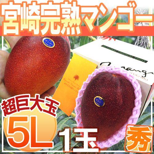 宮崎完熟マンゴー” 秀品 5Lサイズ 1玉 約650g以上 化粧箱 宮崎 宮崎完熟マンゴー” 秀品 5Lサイズ 1玉 約650g以上 化粧箱 宮崎