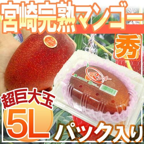 宮崎完熟マンゴー” 秀品 5Lサイズ 約650g以上 パック入り 宮崎マンゴー