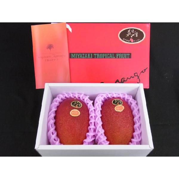 宮崎完熟マンゴー ”太陽のタマゴ” JA宮崎中央 大玉2L3玉 or 特大