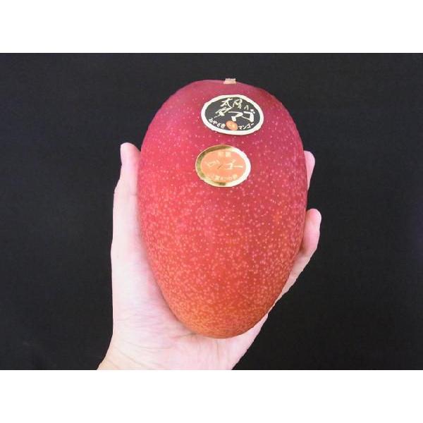 宮崎完熟マンゴー ”太陽のタマゴ” JA宮崎中央 大玉2L3玉 or 特大