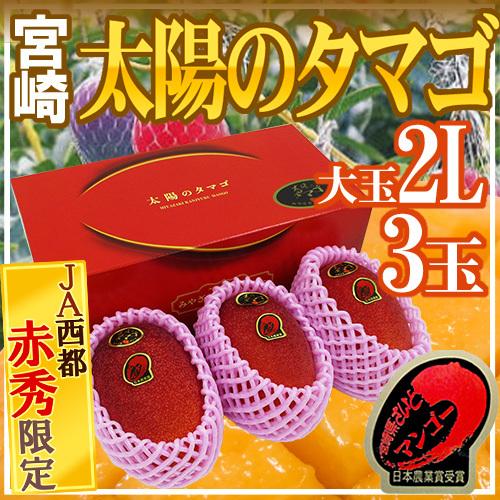 宮崎完熟マンゴー ”太陽のタマゴ” JA西都 大玉2L 3玉入り 最高 宮崎完熟マンゴー ”太陽のタマゴ” JA西都 大玉2L 3玉入り 最高
