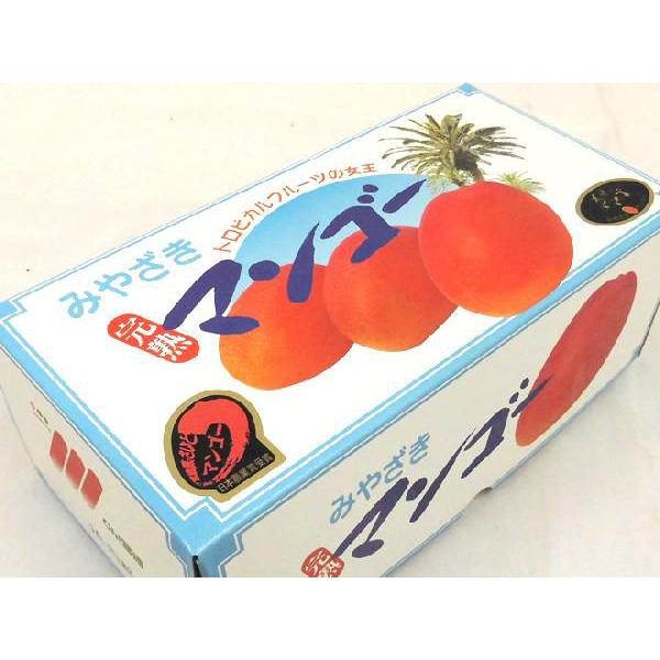 宮崎完熟マンゴー ”太陽のタマゴ” JA西都 大玉2L 3玉入り 最高 宮崎完熟マンゴー ”太陽のタマゴ” JA西都 大玉2L 3玉入り 最高