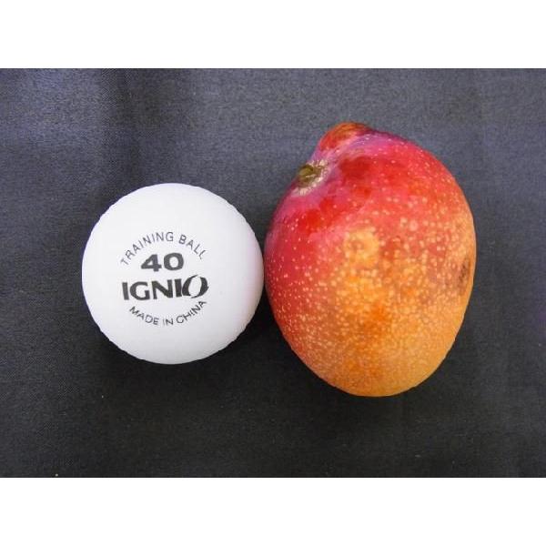 宮崎ミニマンゴー” 1pc 5〜10玉入り 約400g 宮崎マンゴー パック