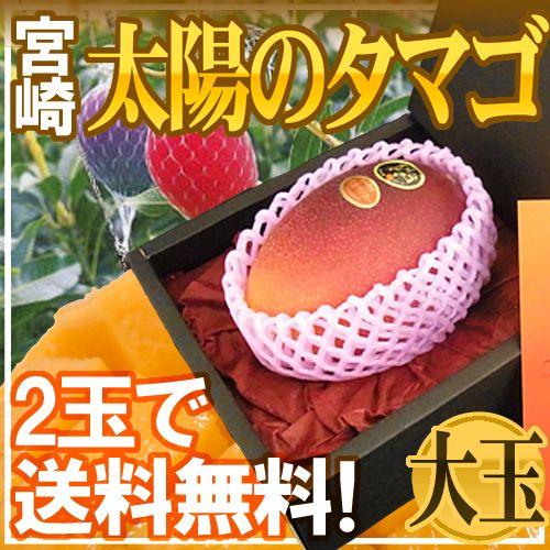 宮崎県 ”完熟マンゴー 太陽のタマゴ” 秀品 大玉2Lサイズ 化粧箱入り《2