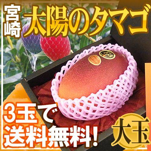 宮崎県 ”完熟マンゴー 太陽のタマゴ” 秀品 大玉2Lサイズ 化粧箱入り《3