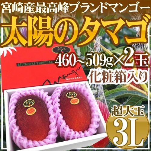 宮崎マンゴー ”太陽のタマゴ” 大玉 3Lサイズ 2玉 産地化粧箱【予約 4月