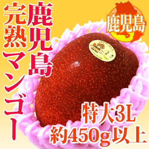 鹿児島産 ”完熟マンゴー” 秀品 特大3L 約450g以上 パック入り【予約 5