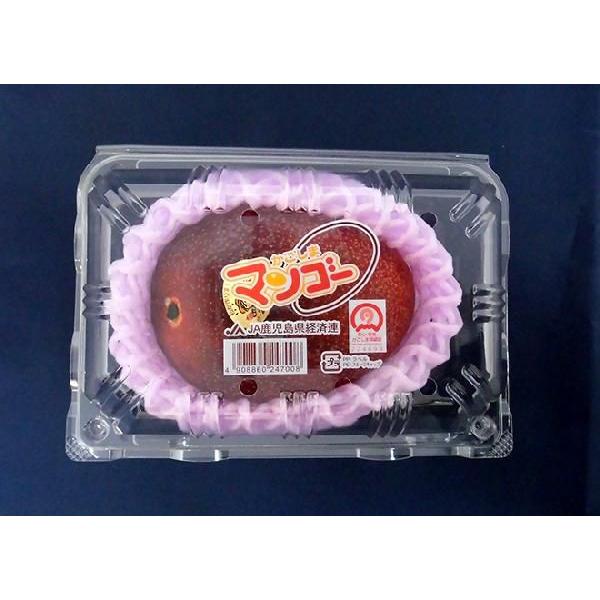 鹿児島産 ”完熟マンゴー” 秀品 特大3L 約450g以上 パック入り【予約 5