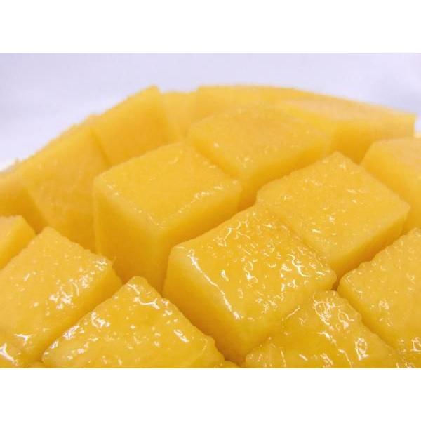 沖縄産 ”キーツマンゴー” 秀品 超大玉 約700g〜1kg 化粧箱【予約 8月